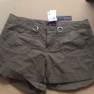 Buffalo David Bitton